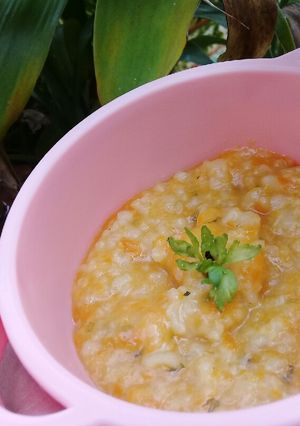 Foto resep Bubur Nasi Mix Wortel dan Seledri (MPASI 8m)