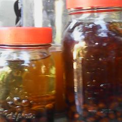 A picture of Biwa /Loquat tea.