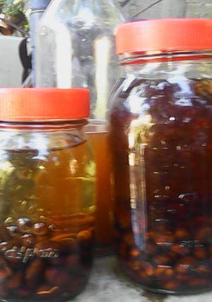 A picture of Biwa /Loquat tea.