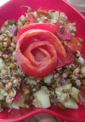 A picture of Sprout salad.
