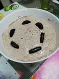 Mousse de oreo