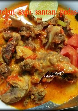 Foto resep Tetelan sapi santan pedas