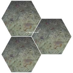 A picture of White indomie.