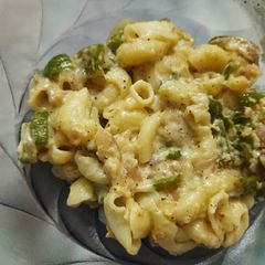 A picture of White sauce pasta.