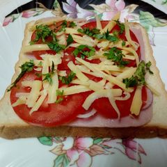 Open Ham Cheese Onion Tomato Sandwich A picture of Open Ham Cheese Onion Tomato Sandwich.