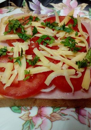 A picture of Open Ham Cheese Onion Tomato Sandwich.