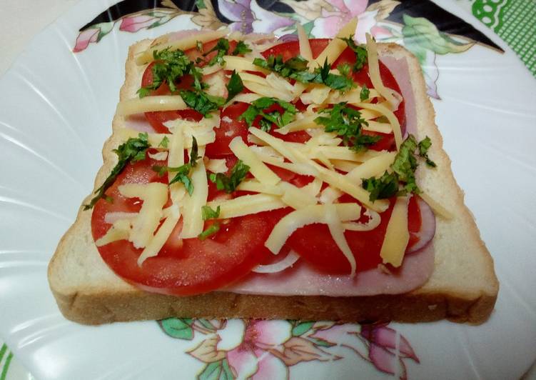 Open Ham Cheese Onion Tomato Sandwich