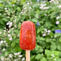 A picture of Herb, Fruit and Flower Ice Lollies ☀️ This is My Spicy Virgin Mary Version 🍅.