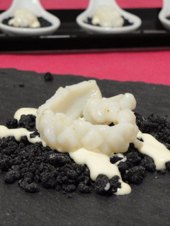 Una foto de Calamares sobre tierra de tinta de calamar. Vídeo-receta