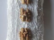 Una foto de cereales proteina