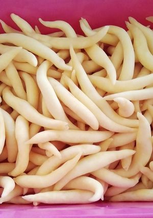 Foto resep Stik gabus