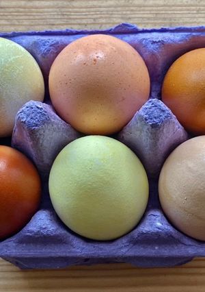 A picture of Colourful Easter eggs (bunte Ostereier).