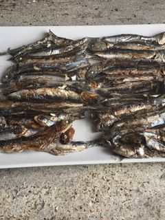 Una foto de Boquerones a la plancha