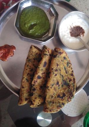 A picture of Methi Thepla.