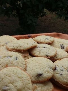 عکسی از دستور شیرینی کشمشی