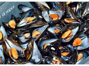 Una foto de mejillones thermomix
