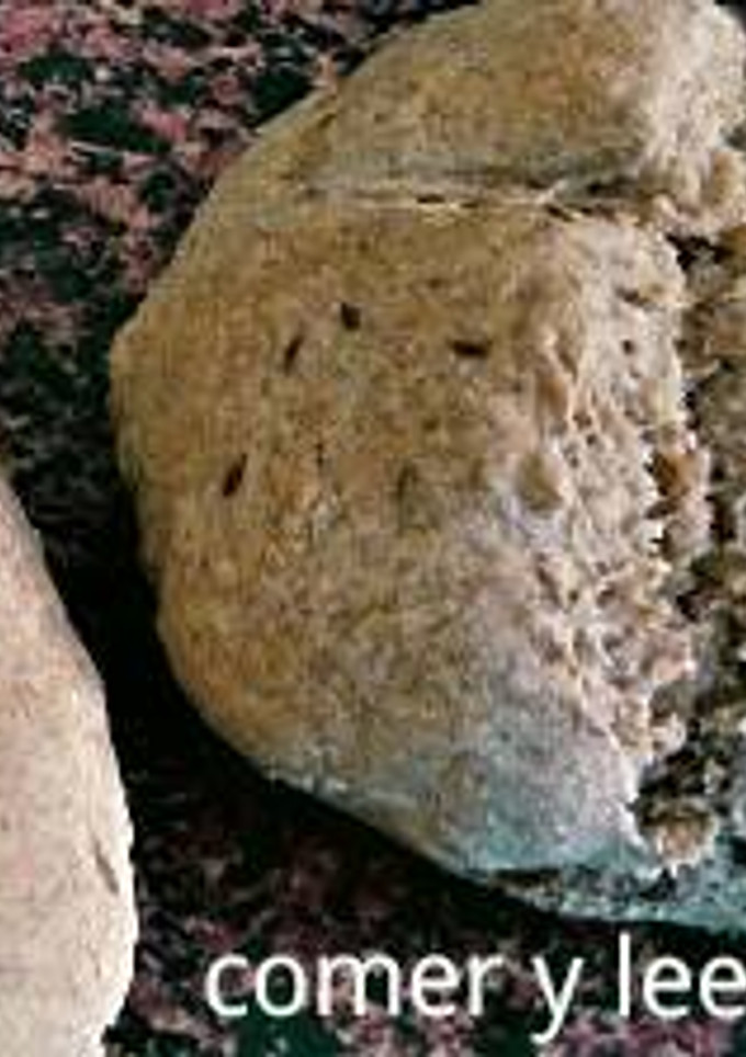 Una foto de Pan de harina integral de trigo con cominos y sésamo