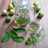 Wedang Daun Jeruk Nipis (Kaya Manfaat)