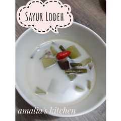A picture of Sayur Lodeh.