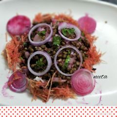 A picture of Healthy and Nutritious Moong Carrot Onion Salad.