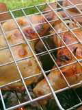 ไก่ย่าง กระเทียมพริกไทยดำ