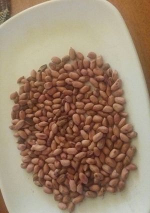 A picture of Roasted groundnuts.
