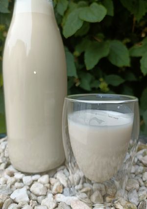 Une photo de 🌱 Lait végétal Noisette Amande