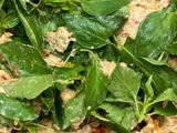 Pecel santan Tulungagung