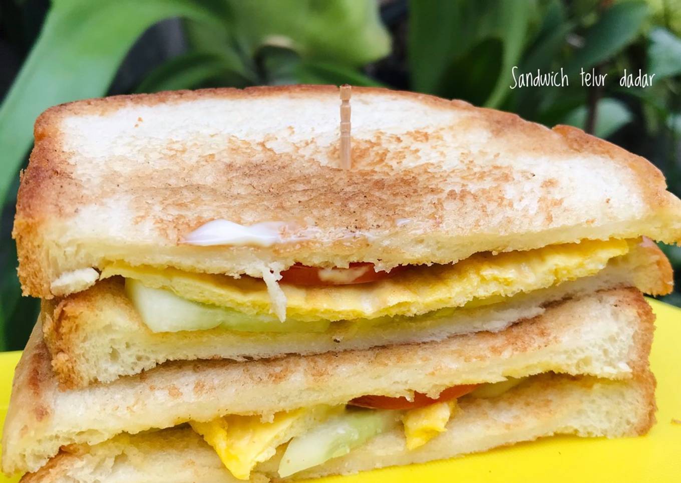 Sandwich telur dadar