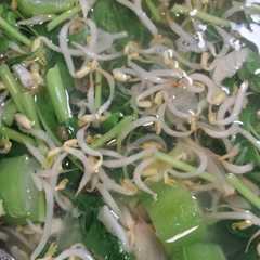 รูปของ Sayur Bayam