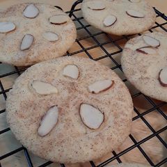 A picture of Sand Dollar Cookies.
