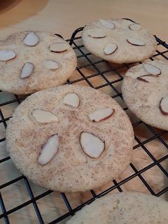 A picture of Sand Dollar Cookies.