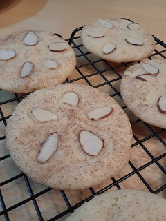 A picture of Sand Dollar Cookies.