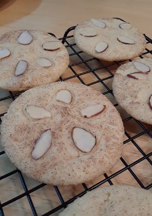 A picture of Sand Dollar Cookies.