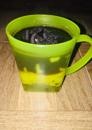 Foto resep Oreo Chocolate Crust