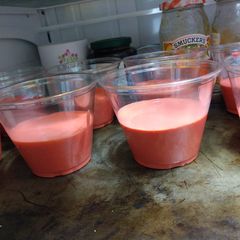 A picture of Sugar Free Jello Cheesecake (no crust).