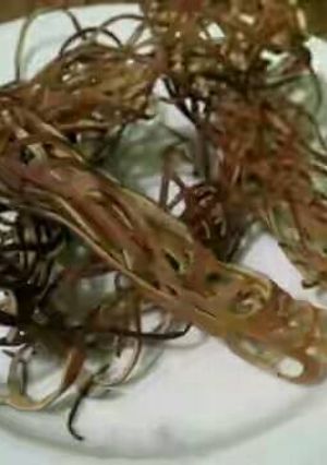 Foto resep Spidey crepe