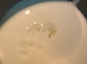 Una foto de dip de crema de leche