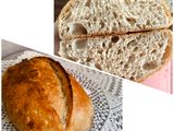 چند اصل کلی در پخت نان های حجیم خمیر ترش (Principles of Classic Sourdough Bread)