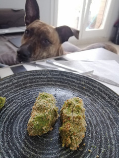 Una foto de Croquetas de brócoli veganas / sin histamina / sin gluten / sin lactosa