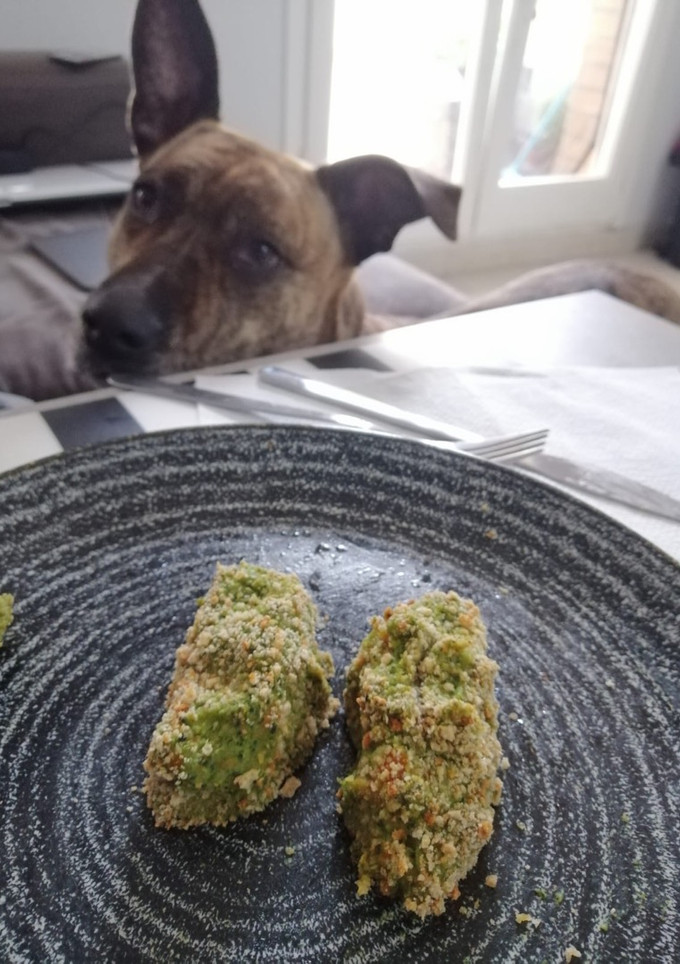 Una foto de Croquetas de brócoli veganas / sin histamina / sin gluten / sin lactosa