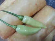 Gambar lumpia bengkoang