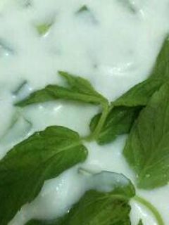 صورة لوصفة خيار بلبن