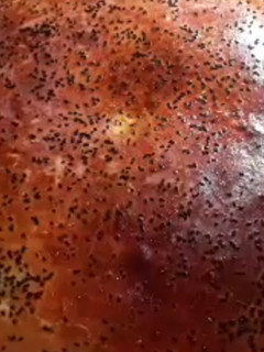 صورة لوصفة خبز الكوشة