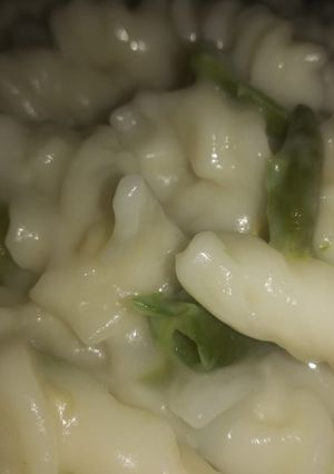 A picture of White sauce pasta.