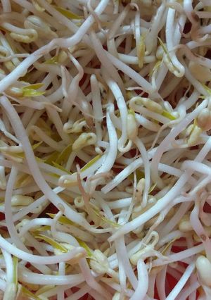 Hình của món Giá đỗ.
