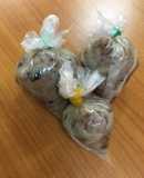 Nấm nham (nem nấm chua - chay)