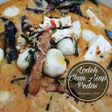Lodeh Pedas Ikan Asap Tahu Telur Puyuh