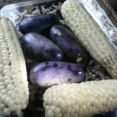 A picture of White corn and pear.