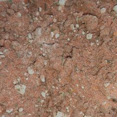 A picture of Nashville hot Wings Masala.